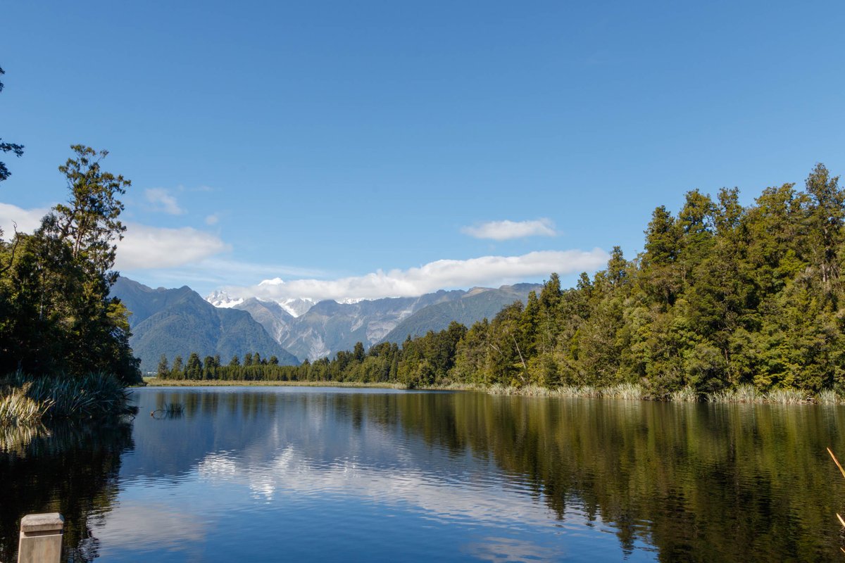 Back to New Zealand 8