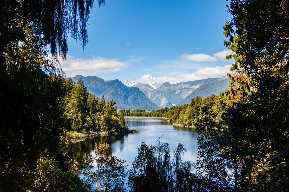 Back to New Zealand 9