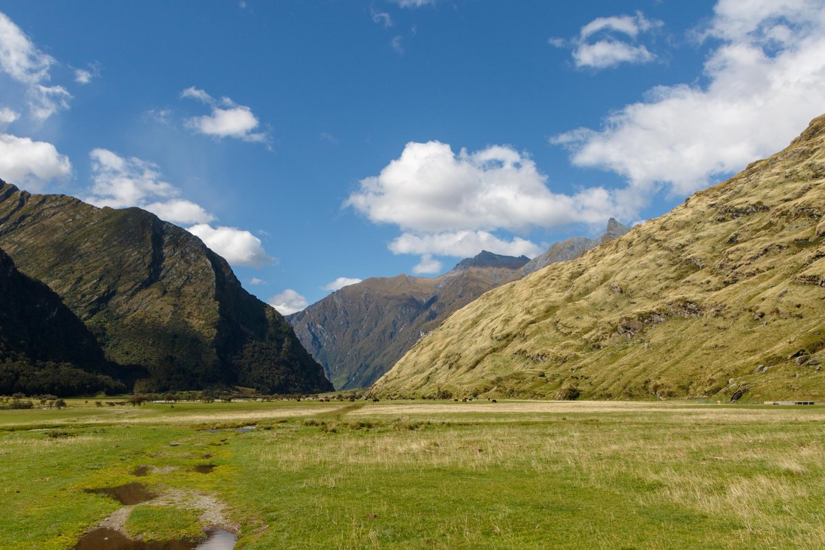 Back to New Zealand 13