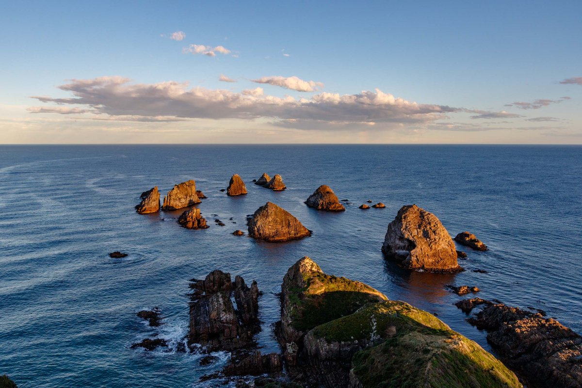 Back to New Zealand 28