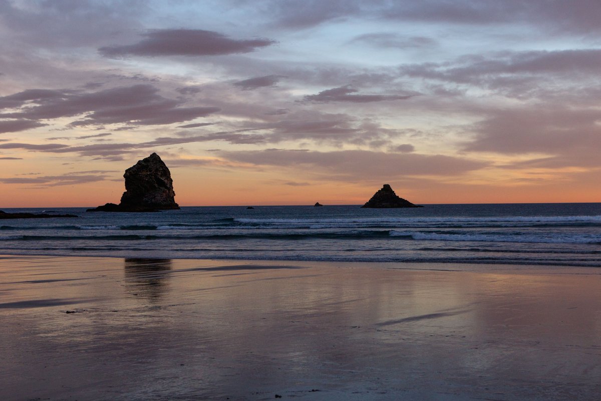 Back to New Zealand 31