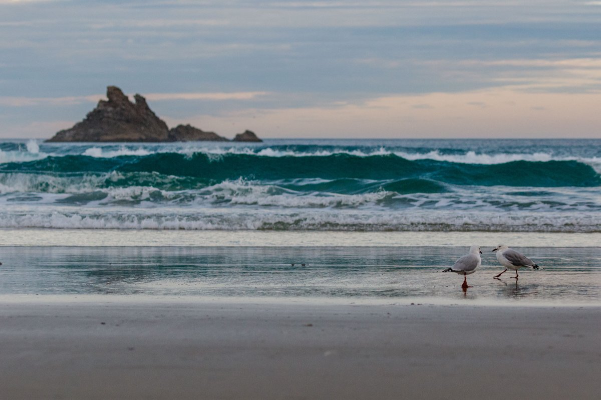 Back to New Zealand 36