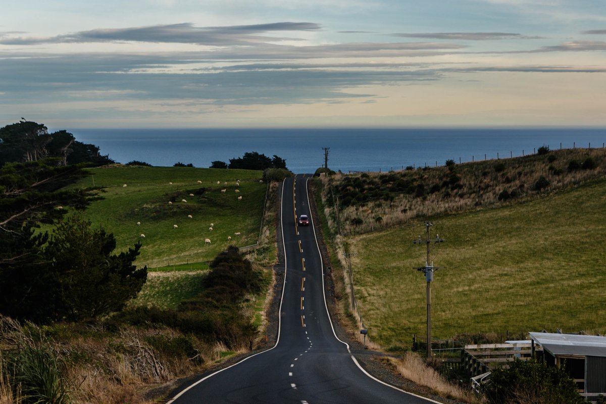 Back to New Zealand 37